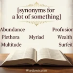 synonyms for a lot of something