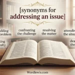 synonyms for addressing an issue