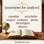 synonyms for analyze