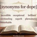 synonyms for dope