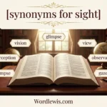 synonyms for sight