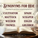 synonyms for hoe