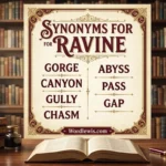 synonyms for ravine